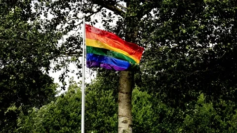 Rainbow flag in a garden Stock Footage 139976806