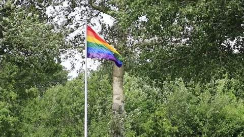 Rainbow flag in a garden, slow motion Stock Footage 139979681