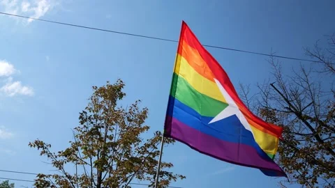 Rainbow flag in pride parade Video stock 160721847