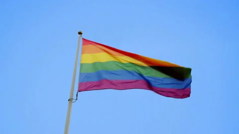 Rainbow Flag waving against sky video 4k Stock Footage 160557516