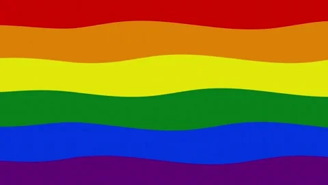 Rainbow flag is waving , animation Stock Footage 162669810