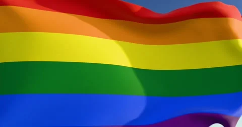 Rainbow flag waving Stock Footage 300205806