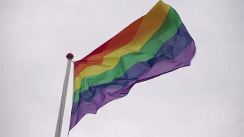 Rainbow flag waving in the wind 库存影片 139443339