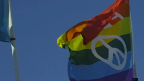 Rainbow flags with peace symbol waving in the wind during Bele Chere festival Stock Footage 103423200