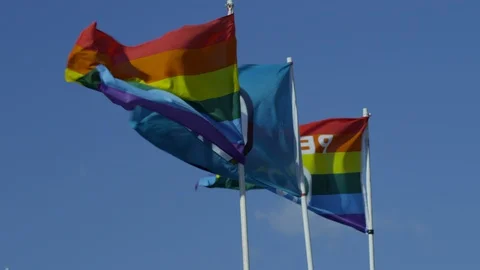Rainbow flags with peace symbol waving in the wind during Bele Chere festival Stock Footage 103423274