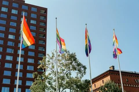 Rainbow flags waving with a building in the background Fotos de archivo