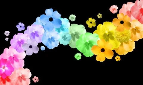 Rainbow flower abstract wave Photos