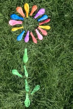 Rainbow flower Stock-Fotos