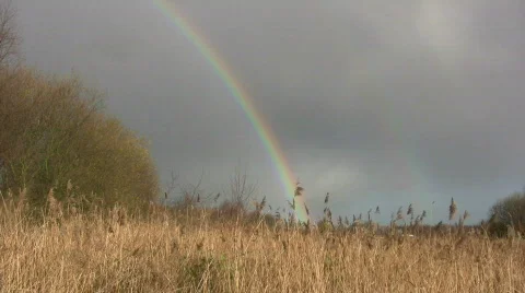 Rainbow Video stock 108247