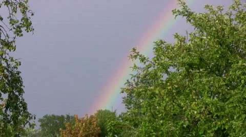 Rainbow 動画素材 488677