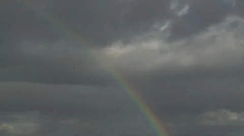 Rainbow 스톡 동영상 978718