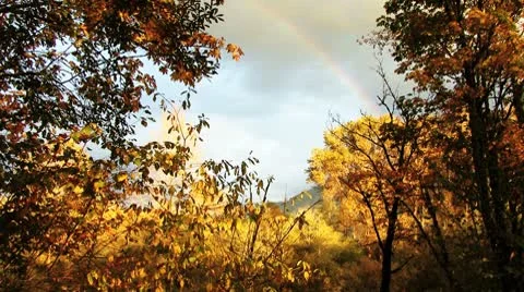 Rainbow Stock Footage 8918615