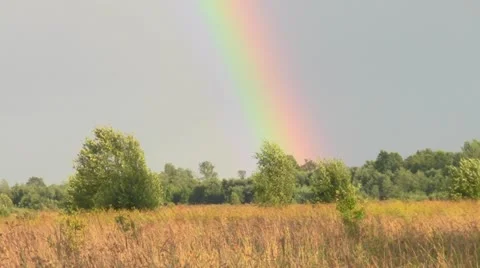 Rainbow Video stock 12031636