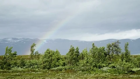 The Rainbow Vídeo Stock 84597766