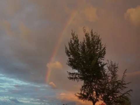 Rainbow Stock Footage 123754154