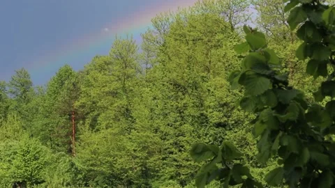 Rainbow Stock Footage 195212843