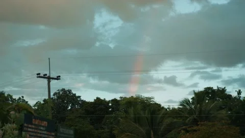 Rainbow Vídeos de archivo 205531836