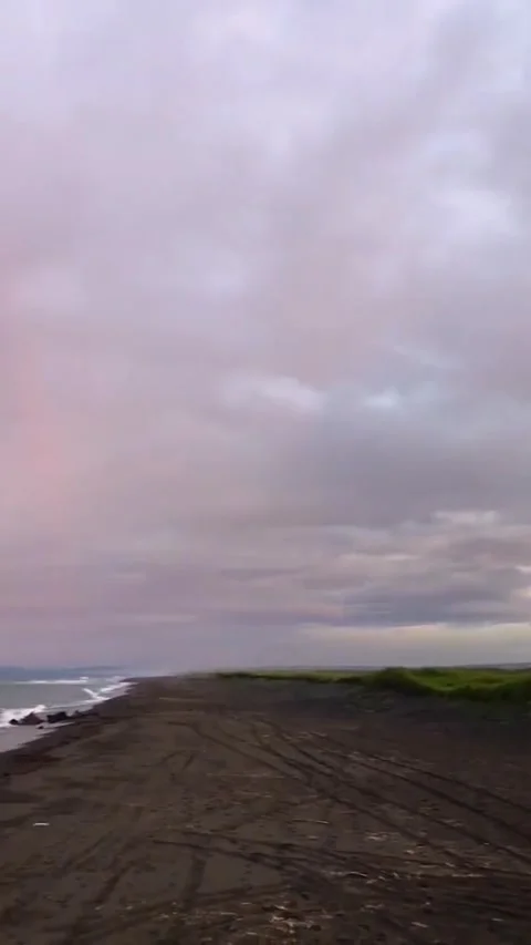 Rainbow 库存影片 220012821