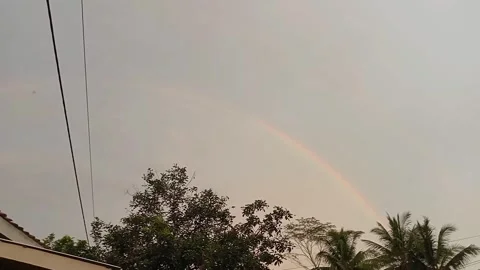 Rainbow Stock Footage 266764171