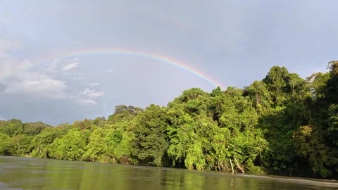 Rainbow Stock Footage 317111208