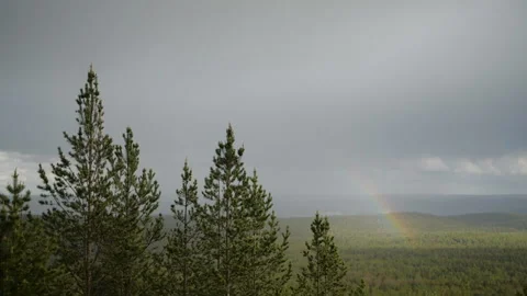 Rainbow in a forest Video stock 95308670