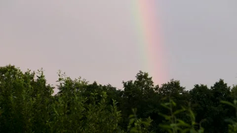 Rainbow in the forest Stock Footage 278644130