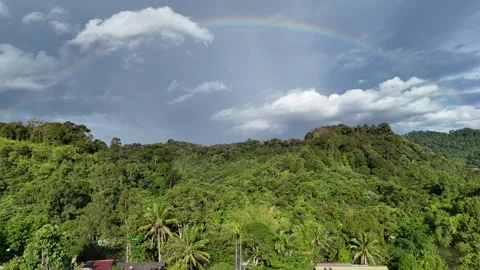 Rainbow forest Stock Footage 317112377