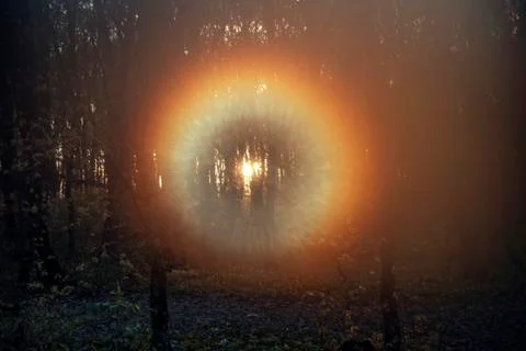 Rainbow in the forest Stock Photos