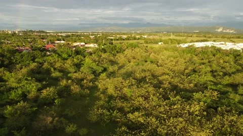 Rainbow in forest with rural dwellings Stock Footage 220086002