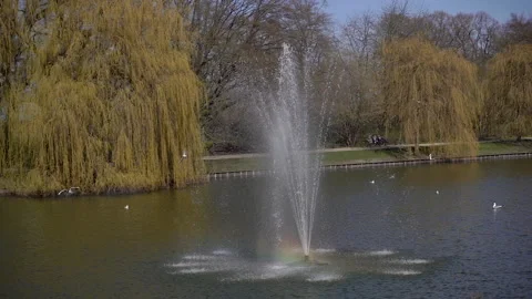 A rainbow formed in the lake with a fountain. Stock Footage 210289727