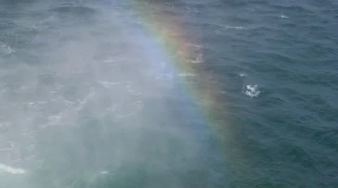 Rainbow formed from splashes of falls falling in the sea Stock-Footage 8967947