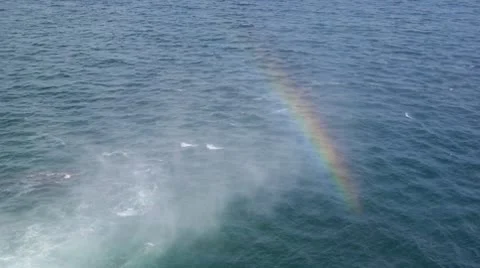 Rainbow formed from splashes of falls falling in the sea Video stock 8967948
