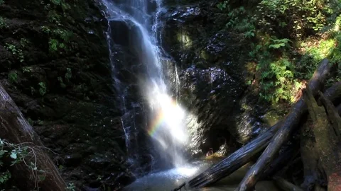 A rainbow forms at the base of Berry Creek Falls Stock Footage 79596261