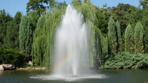 Rainbow fountain in the park Stock Footage 274539784