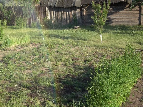 Rainbow on the garden bed Stock Footage 76594858