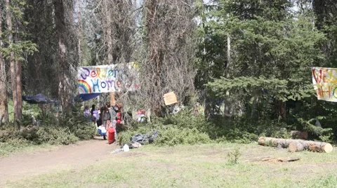Rainbow Gathering Banners in Trees 4k 스톡 동영상 40030065