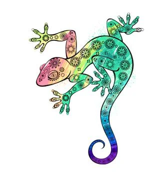 Rainbow gecko Stock Illustration
