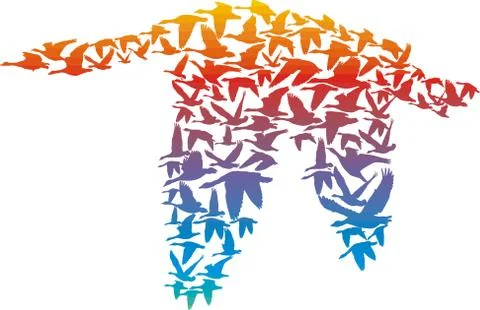 Rainbow Geese Stock Illustration