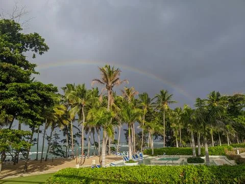 A Rainbow Going Over Palm Trees at a Resort Foto stock