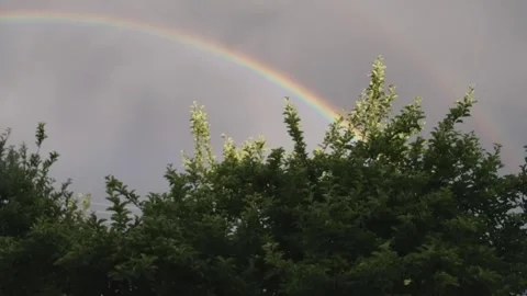 Rainbow Gracefully Arcs Over Trees in Scenic Landscape, Captured in Kyrgyzstan w Stock Footage 306609767
