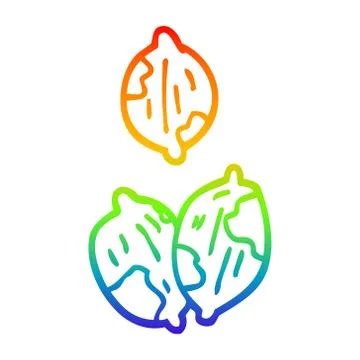 Rainbow gradient line drawing cartoon nuts in shells Stock Illustration