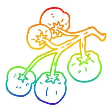 Rainbow gradient line drawing cartoon tomatoes on vine Stock Illustration