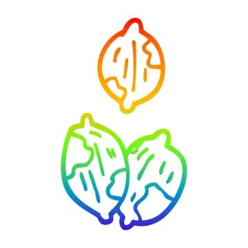 Rainbow gradient line drawing cartoon nuts in shells Stock Illustration