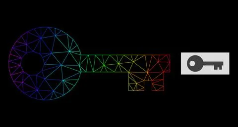 Rainbow Gradiented Polygonal Net Key Icon Stockillustratie