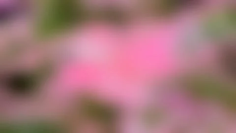 Rainbow gradients. Ultraviolet blurred backgrounds, holographic colorful Stock Footage 132867670
