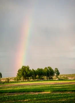 Rainbow at the grassland Foto stock