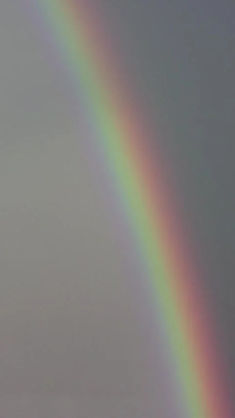 Rainbow gray behind, widens, vertical Stock Footage 263779342