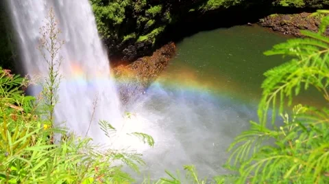 Rainbow Hawaiian Waterfall Stock Footage 42533448