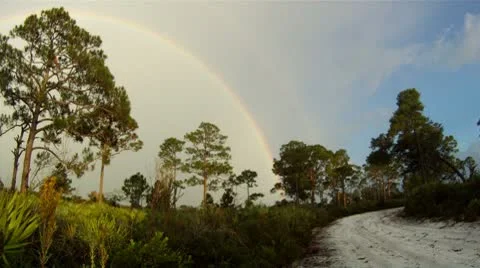 Rainbow Hiking Trail 2 Stock Footage 8913329