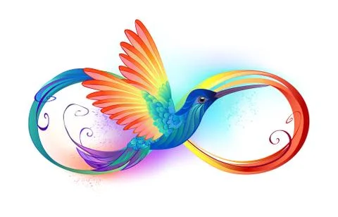 Rainbow Hummingbird with Infinity Stock Illustration